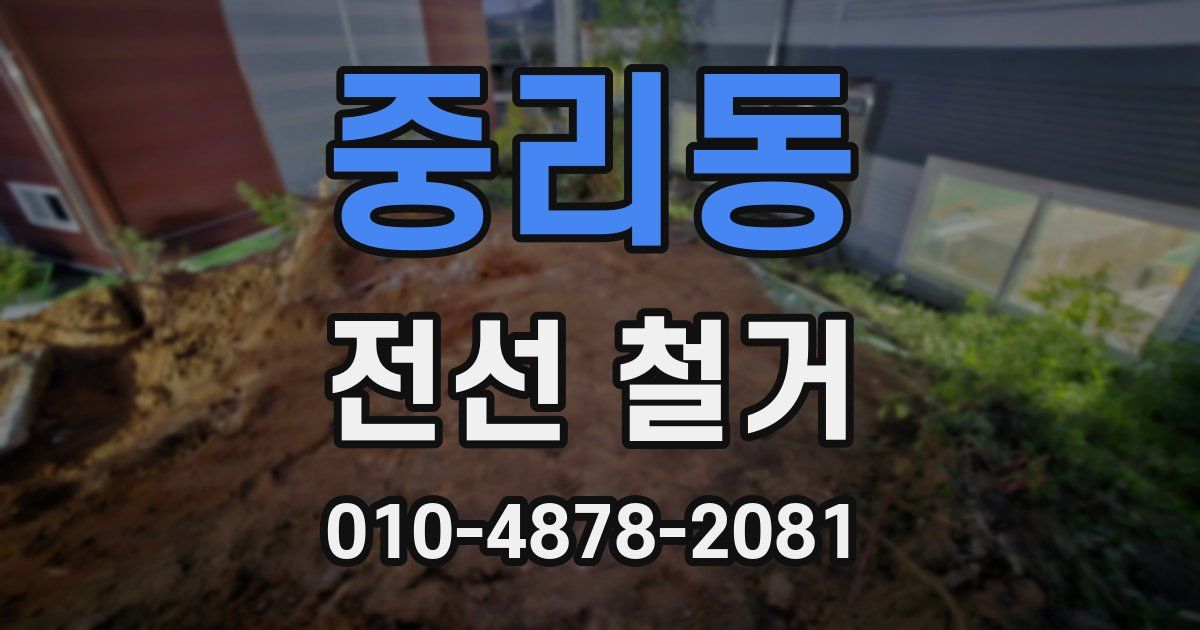 중리동 전선 철거