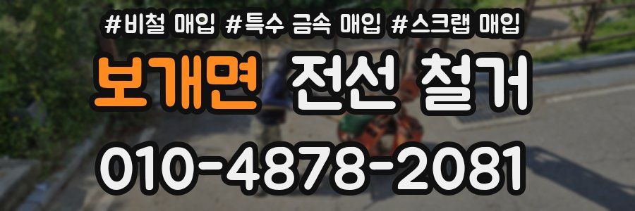 보개면 전선 철거