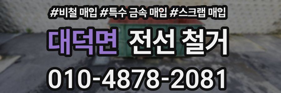 대덕면 전선 철거