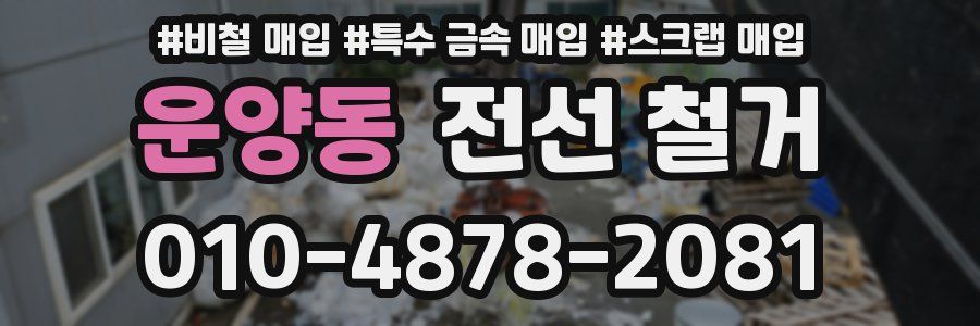 운양동 전선 철거