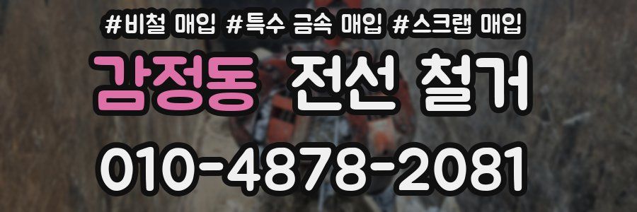 감정동 전선 철거