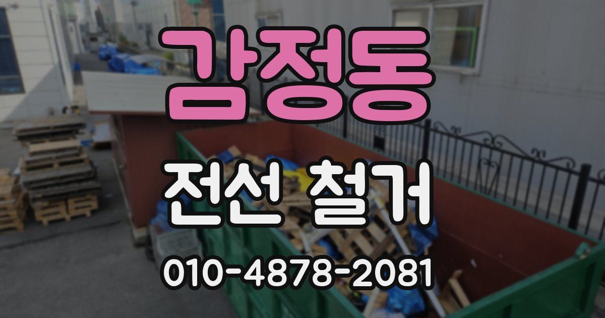 감정동 전선 철거