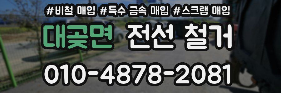 대곶면 전선 철거