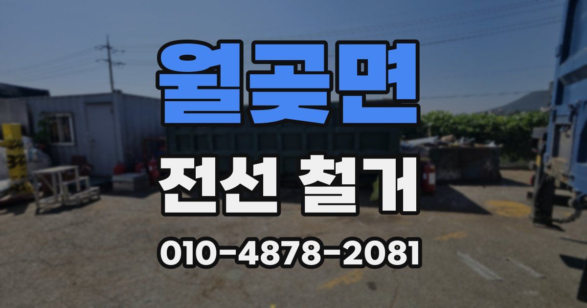 월곶면 전선 철거