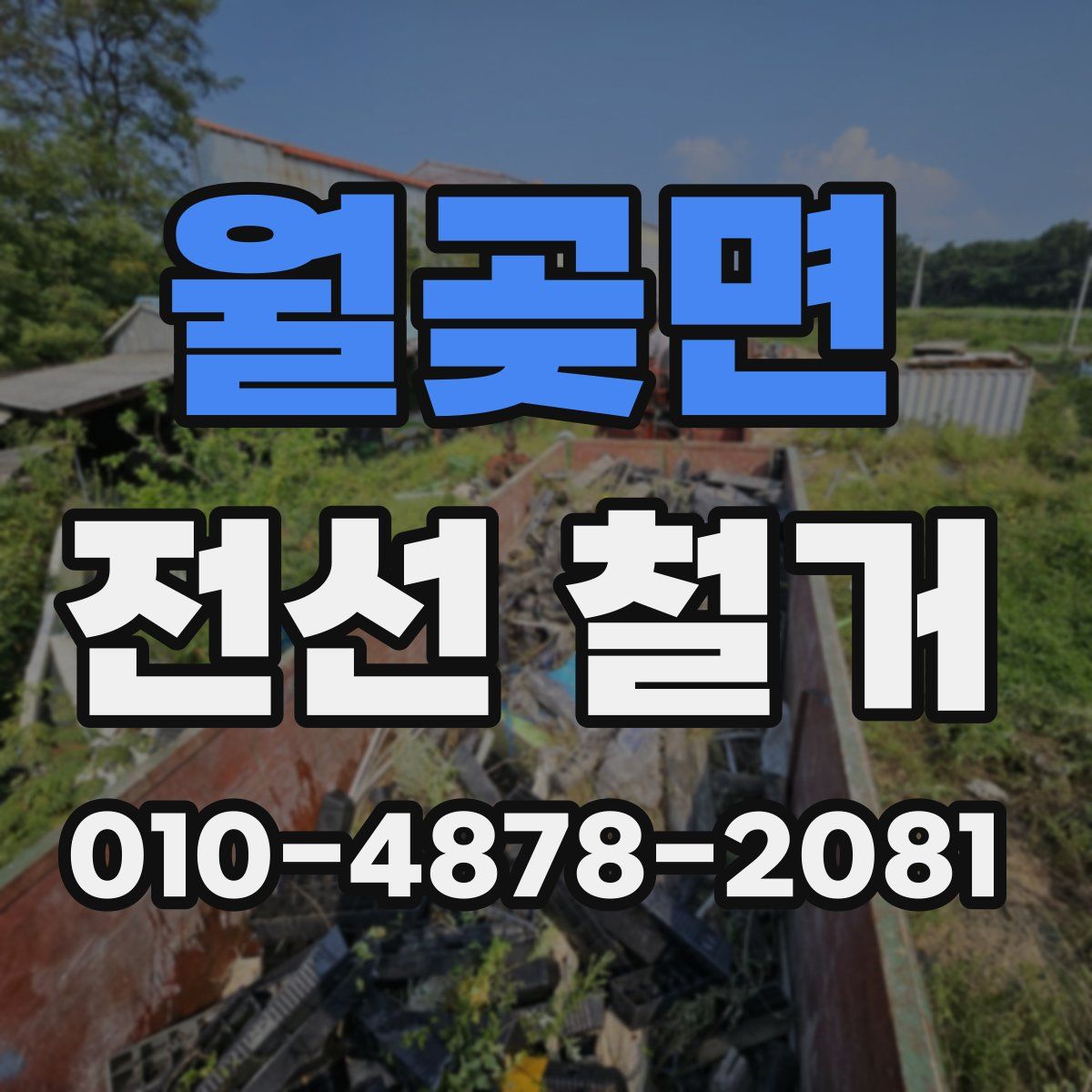 월곶면 전선 철거