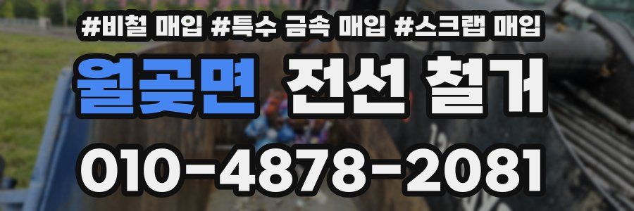 월곶면 전선 철거