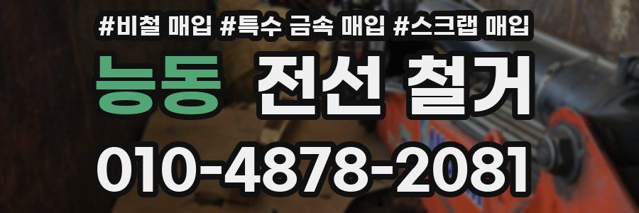 능동 전선 철거