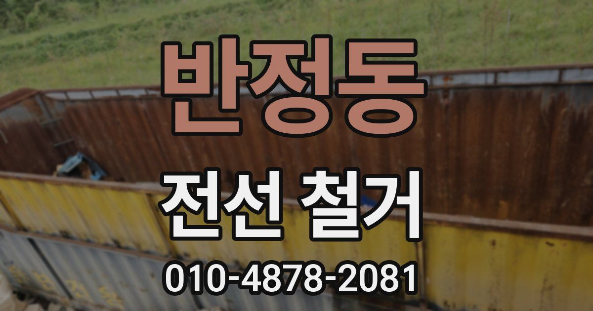 반정동 전선 철거