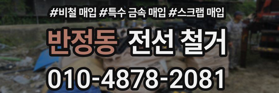 반정동 전선 철거