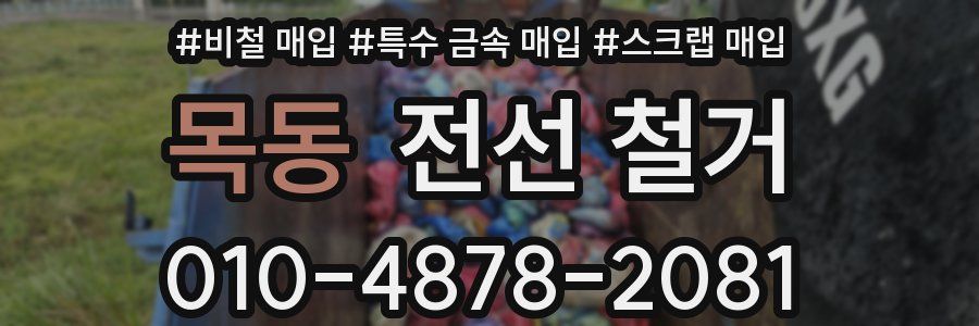 목동 전선 철거