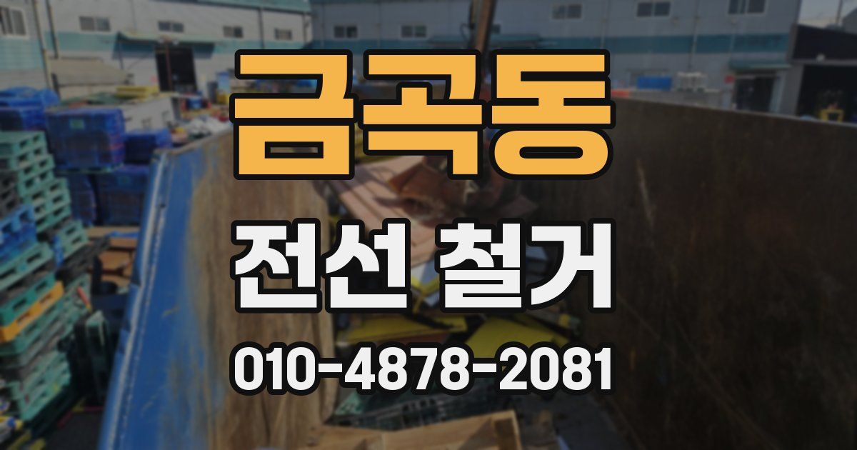 금곡동 전선 철거