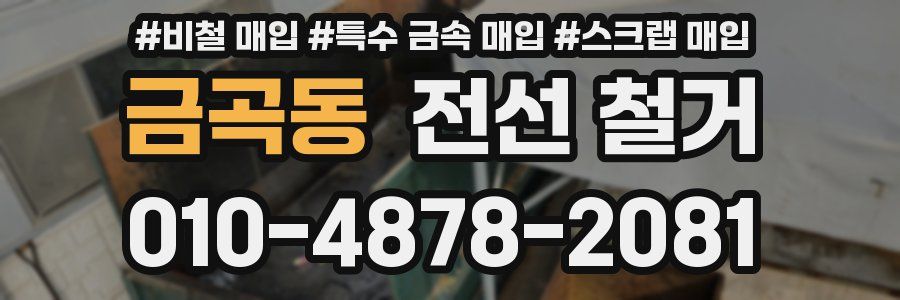 금곡동 전선 철거