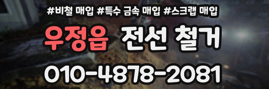 우정읍 전선 철거