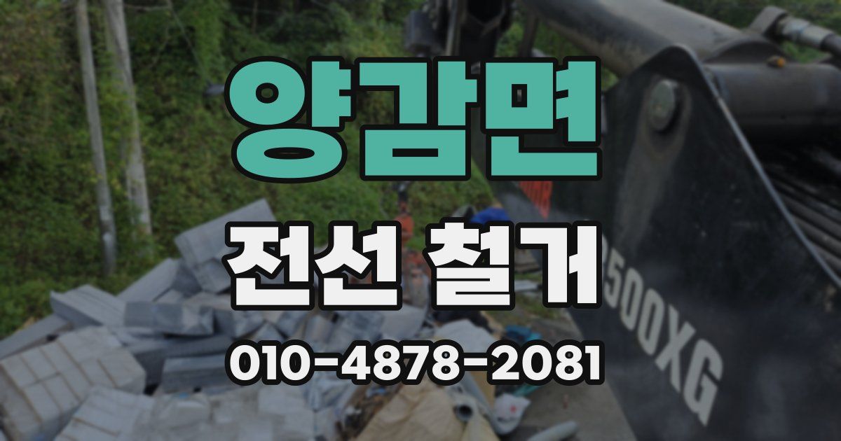 양감면 전선 철거