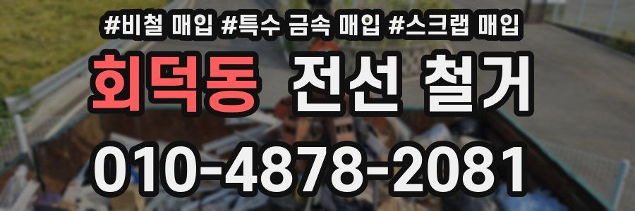 회덕동 전선 철거