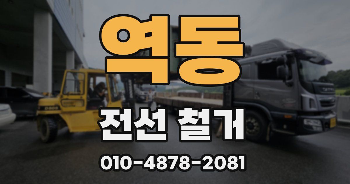 역동 전선 철거