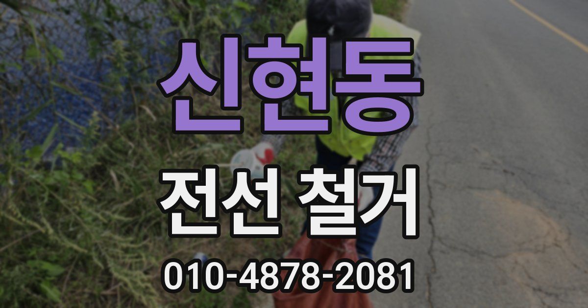신현동 전선 철거