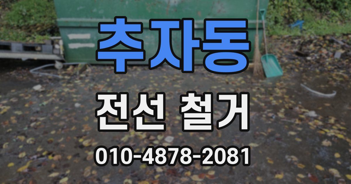 추자동 전선 철거