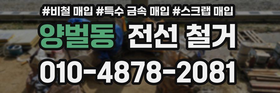 양벌동 전선 철거