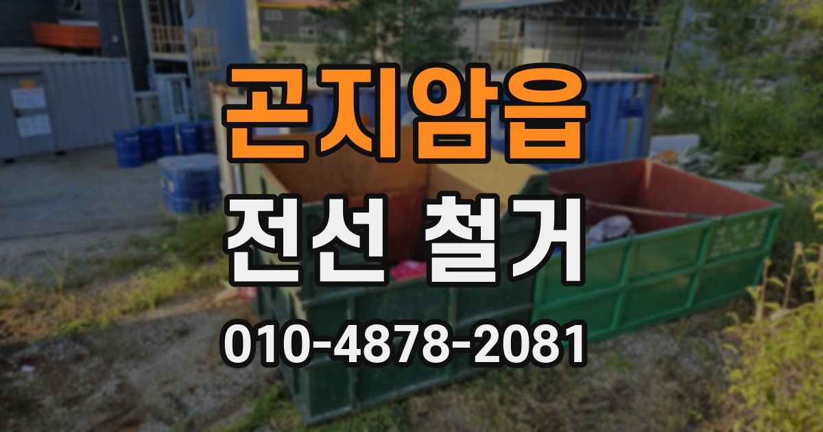 곤지암읍 전선 철거