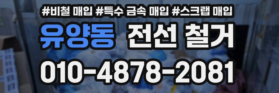 유양동 전선 철거