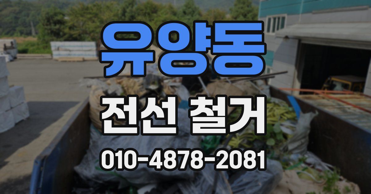 유양동 전선 철거
