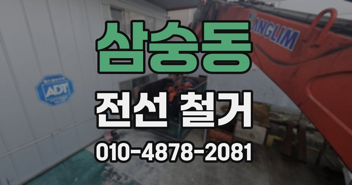 삼숭동 전선 철거