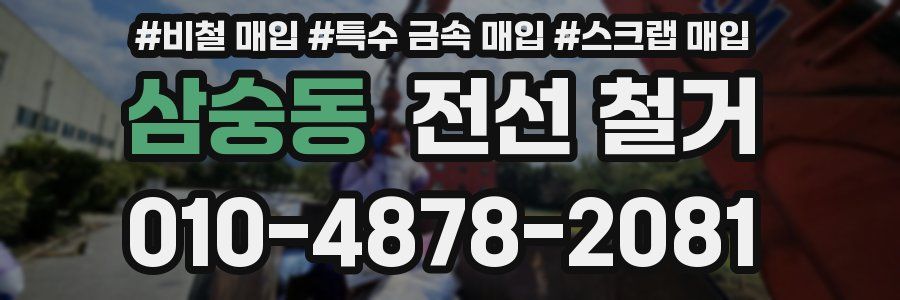 삼숭동 전선 철거