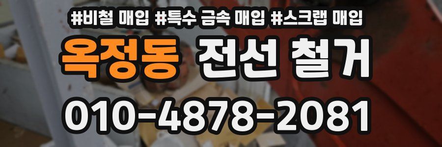 옥정동 전선 철거