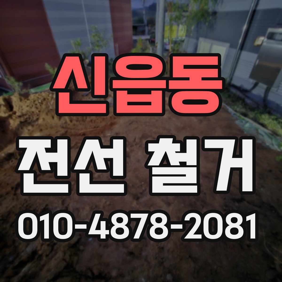 신읍동 전선 철거