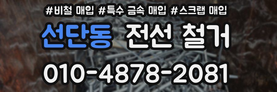 선단동 전선 철거