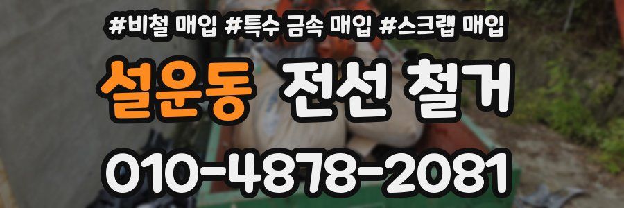 설운동 전선 철거
