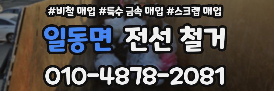 일동면 전선 철거