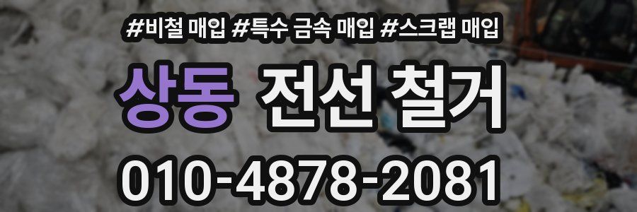 상동 전선 철거