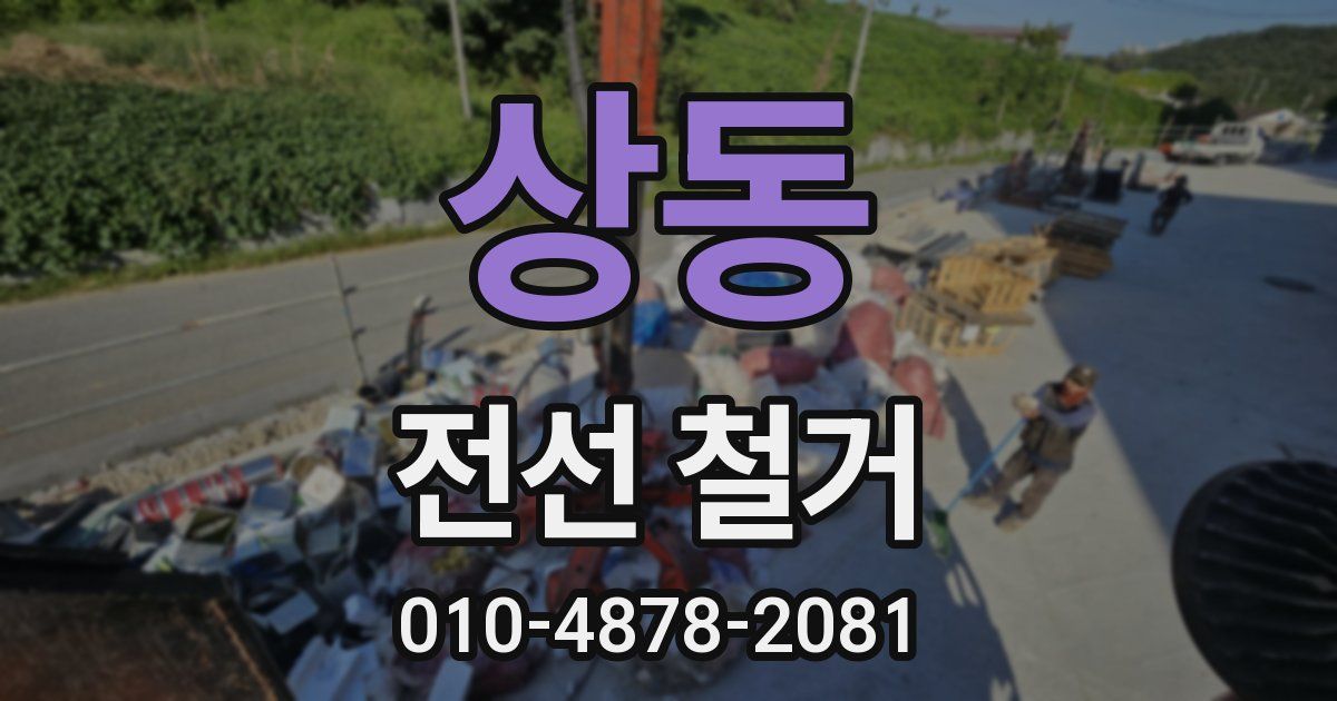 상동 전선 철거