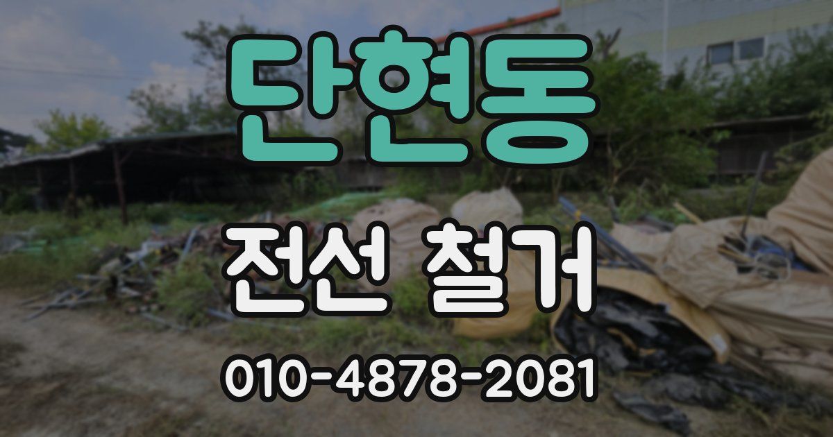단현동 전선 철거