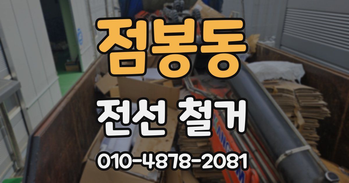 점봉동 전선 철거