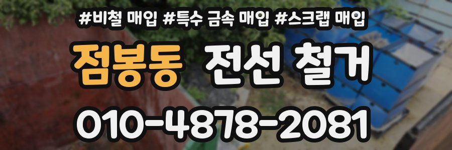 점봉동 전선 철거