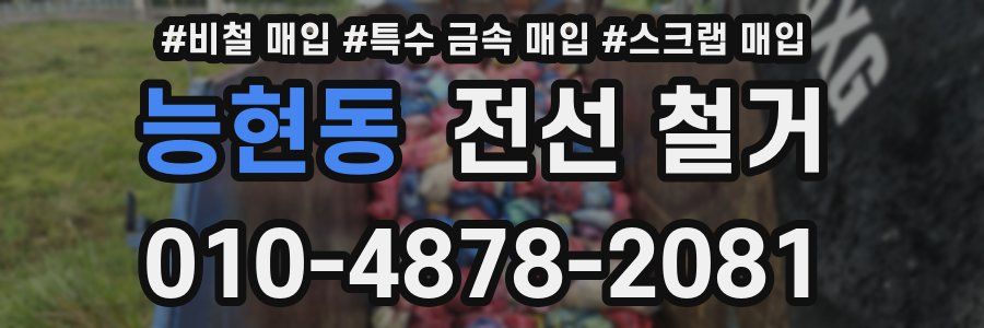 능현동 전선 철거