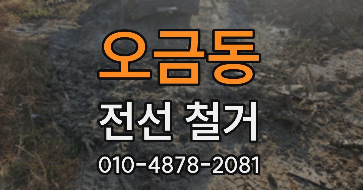 오금동 전선 철거