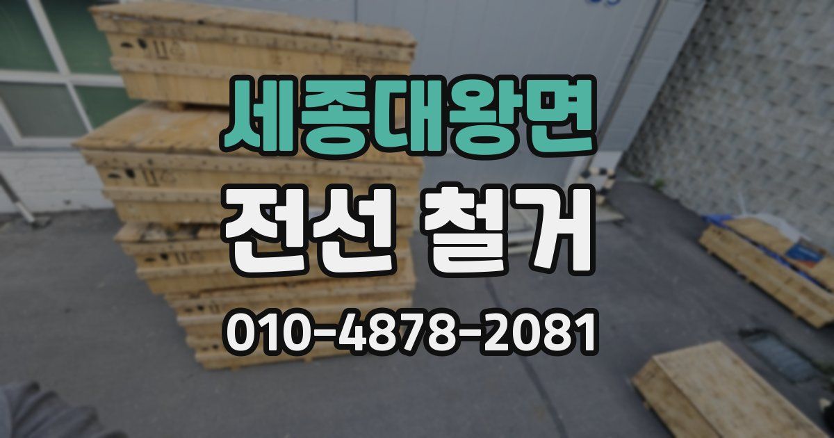 세종대왕면 전선 철거