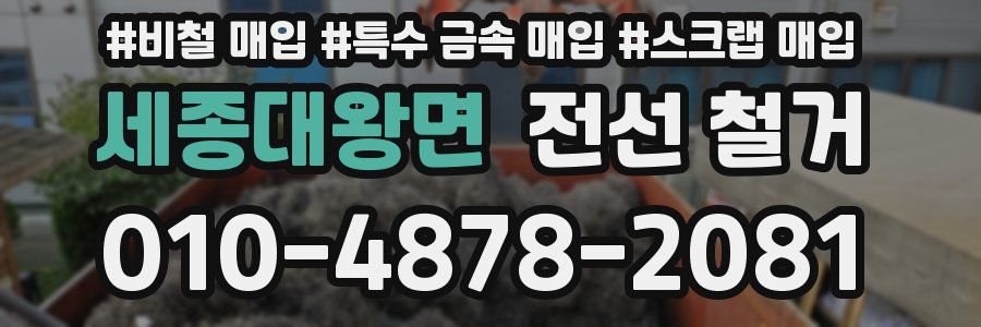 세종대왕면 전선 철거