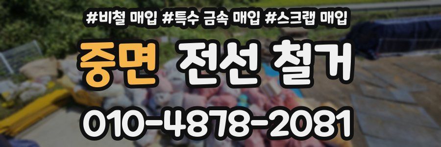 중면 전선 철거