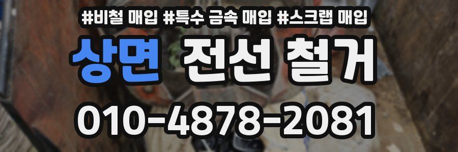 상면 전선 철거