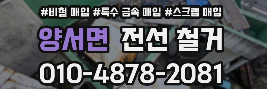 양서면 전선 철거