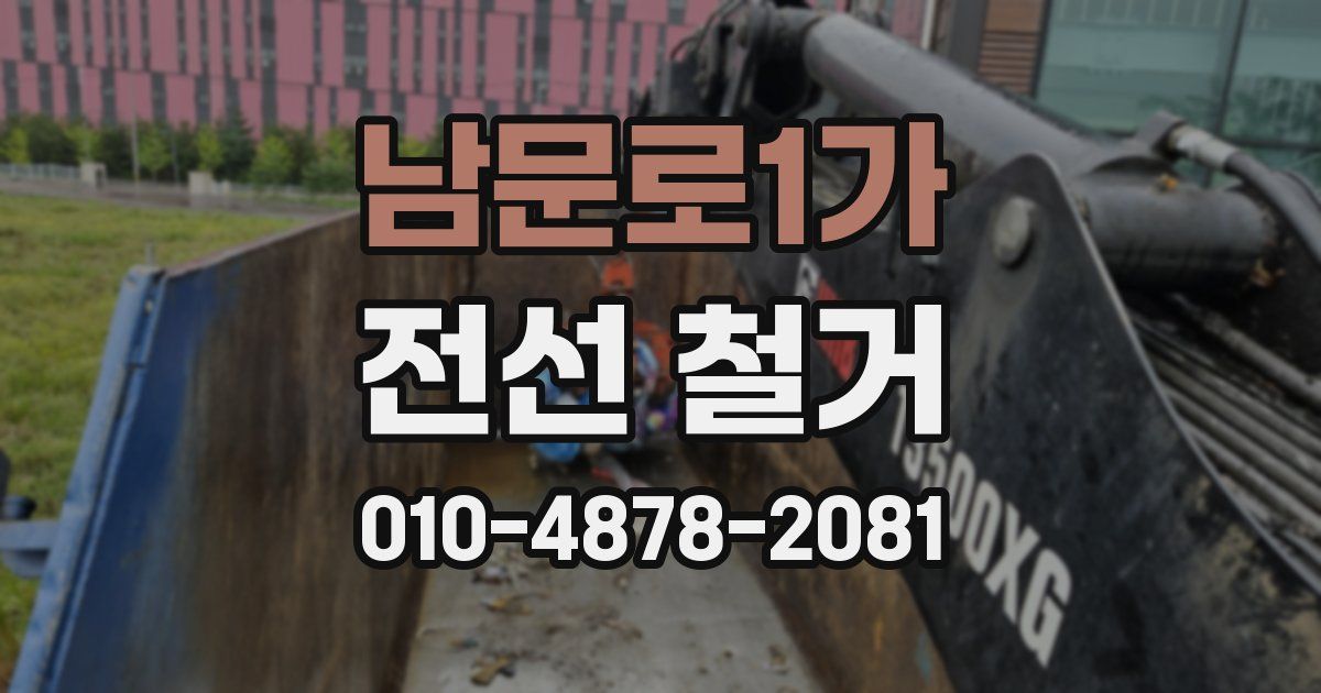 남문로1가 전선 철거