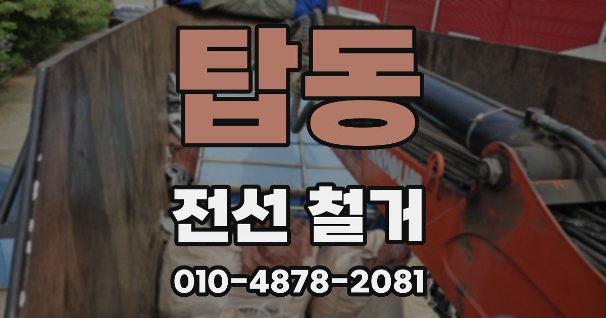 탑동 전선 철거