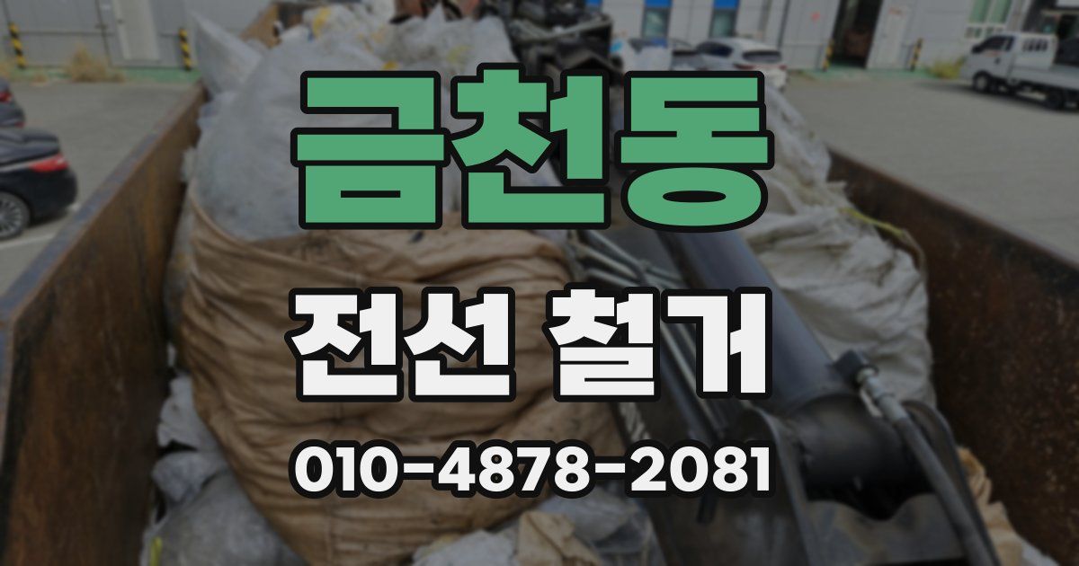 금천동 전선 철거