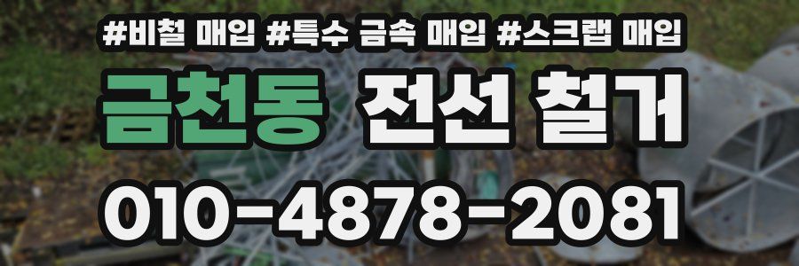 금천동 전선 철거