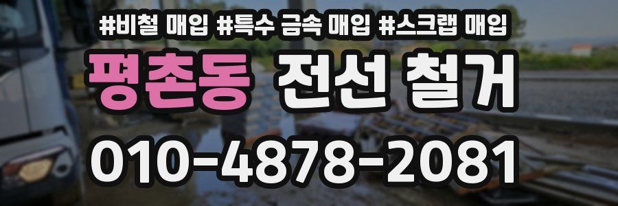 평촌동 전선 철거